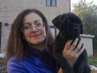 cucciolata cane corso rustico